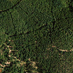 Satellite imagery of Hohberg, DE