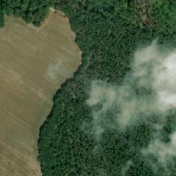 Satellite imagery of Pasník [Nelepeč-Žernůvka], CZ