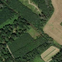 Satellite imagery of [Chropyně-Plešovec] chapel sanctus t., CZ