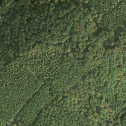 Satellite imagery of Speyerbrunner Eck, DE