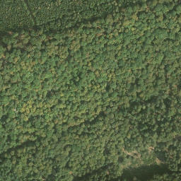 Satellite imagery of Speyerbrunner Eck, DE