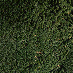 Satellite imagery of Hoher Kopf, DE