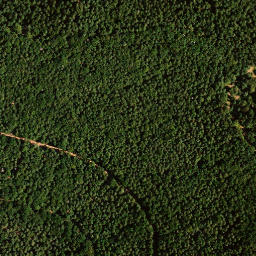 Satellite imagery of Platte, DE