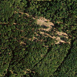 Satellite imagery of Platte, DE