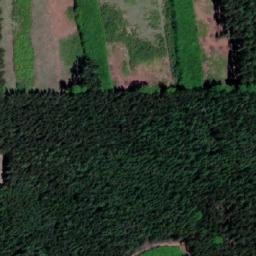 Satellite imagery of (Březejcký les), CZ
