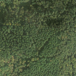 Satellite imagery of Speyerbrunner Eck, DE