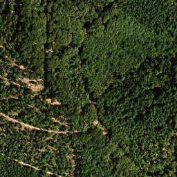 Satellite imagery of Platte, DE