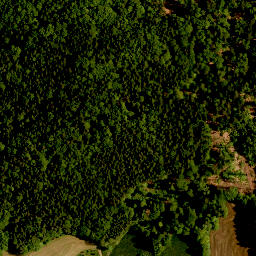 Satellite imagery of Zwirenzel, DE