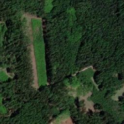 Satellite imagery of (Březejcký les), CZ