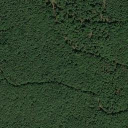 Satellite imagery of Grünberg, DE
