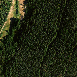 Satellite imagery of Sternberg, DE
