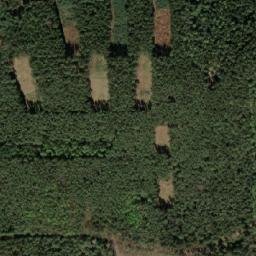 Satellite imagery of Dubový vrch [Slabčice-Písecká Smoleč], CZ