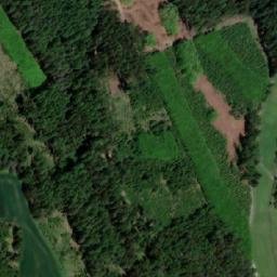 Satellite imagery of (Březejcký les), CZ