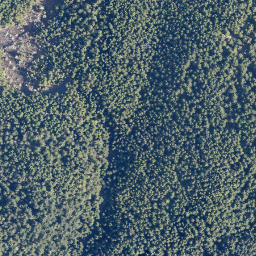 Satellite imagery of Cypress Mountain, CA