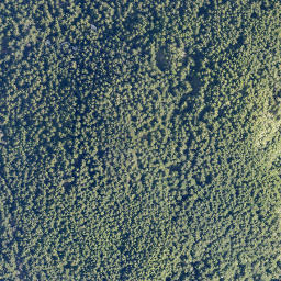 Satellite imagery of Cypress Mountain, CA