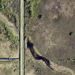 Satellite imagery of Big Pine Mountain, CA