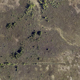 Satellite imagery of Big Pine Mountain, CA