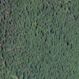 Satellite imagery of Evans Peak, CA