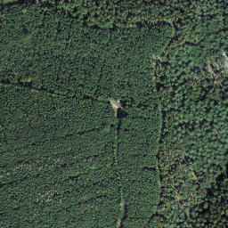 Satellite imagery of Lauberberg, DE