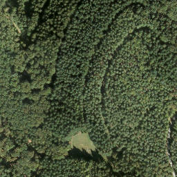Satellite imagery of Locheck, DE