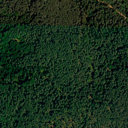 Satellite imagery of Brentenberg, DE