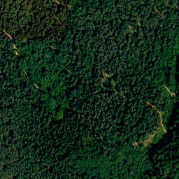 Satellite imagery of Brentenberg, DE