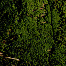 Satellite imagery of Hinterer Hiener, DE