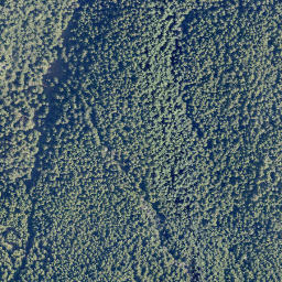 Satellite imagery of Cypress Mountain, CA