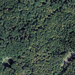 Satellite imagery of 2781, FR