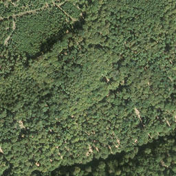 Satellite imagery of Labundiseck, DE