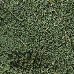 Satellite imagery of Locheck, DE