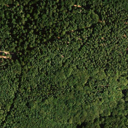 Satellite imagery of Kanzelkopf, DE
