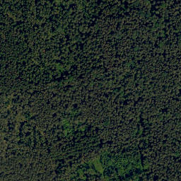 Satellite imagery of Mühlberg, DE