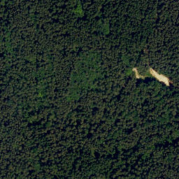Satellite imagery of Mühlberg, DE