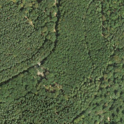 Satellite imagery of Locheck, DE