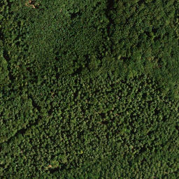 Satellite imagery of Kanzelkopf, DE