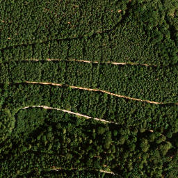 Satellite imagery of Rothsohlberg, DE
