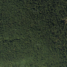 Satellite imagery of Bzinský urbár, PL
