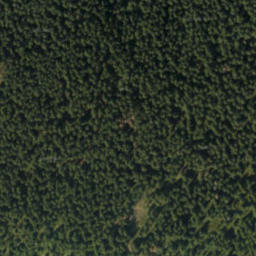Satellite imagery of Bzinský urbár, PL