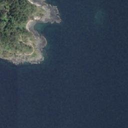 Satellite imagery of Cottam Point, CA