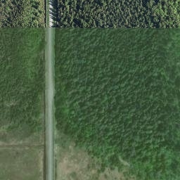 Satellite imagery of Little Pine Mountain, CA
