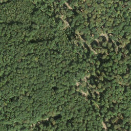 Satellite imagery of Steinberg, DE
