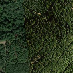Satellite imagery of Kanzelkopf, DE