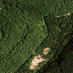 Satellite imagery of Kanzelkopf, DE