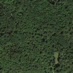 Satellite imagery of Dachsberg, DE