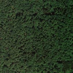 Satellite imagery of Dachsberg, DE