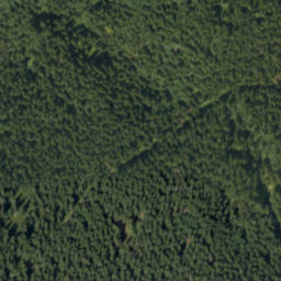 Satellite imagery of Bzinský urbár, PL