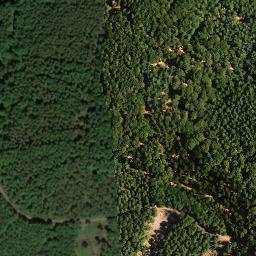 Satellite imagery of Kühlkopf, DE