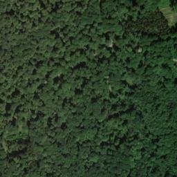 Satellite imagery of Dachsberg, DE