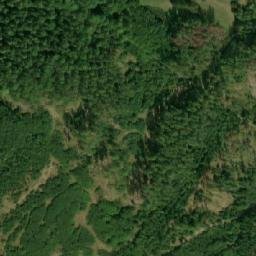 Satellite imagery of k.554 (Ruprechtovské polesí), CZ